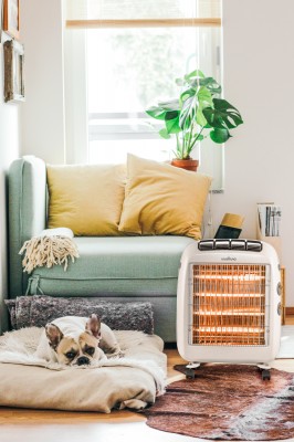 2 in 1 šildytuvas Wellmo WH2000