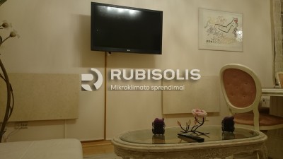 BUTO ŠILDYMAS NATŪRALAUS AKMENS RADIATORIAIS DRUSKININKUOSE