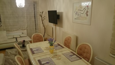 BUTO ŠILDYMAS NATŪRALAUS AKMENS RADIATORIAIS DRUSKININKUOSE