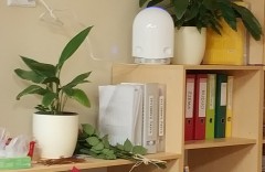 Darželis ir vaikų ligos neatsiejama? Ar tikrai?