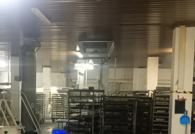 DUONOS KEPIMO CECHO VĖSINIMAS