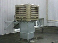 DUONOS KEPYKLOS CECHO VĖSINIMAS