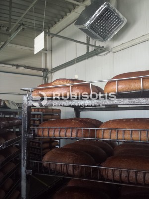 DUONOS KEPYKLOS CECHO VĖSINIMAS