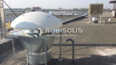 DUONOS KEPYKLOS CECHO VĖSINIMAS