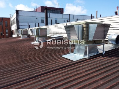 DUONOS KEPYKLOS FASAVIMO CECHO VĖSINIMAS