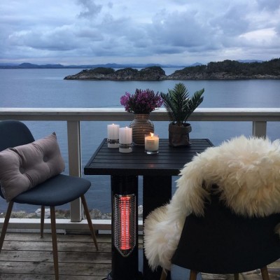 Infraraudonųjų spindulių lauko šildytuvas IMUS