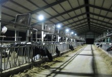 Infrašildymas pramonei