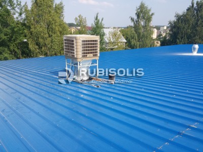 MEDINIŲ LANGŲ GAMYBOS DAŽYMO SKYRIAUS VĖSINIMAS