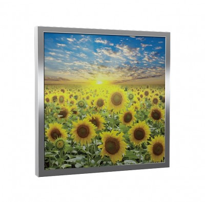 Natūralaus šildymo plokštės ECOSUN G Galerie