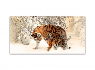 Natūralaus šildymo plokštės ECOSUN GS Galerie