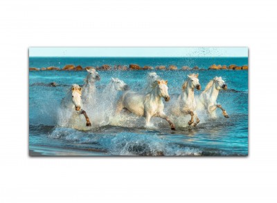 Natūralaus šildymo plokštės ECOSUN GS Galerie