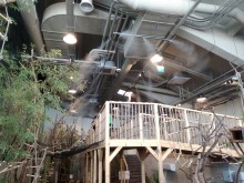 ORO DRĖKINIMAS VILNIAUS ZOO PARKE