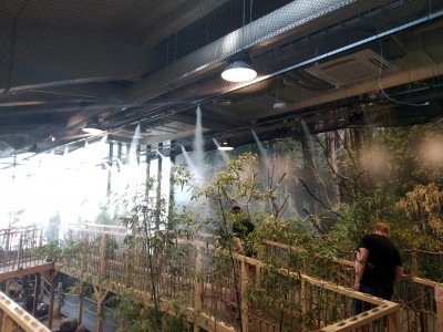 ORO DRĖKINIMAS VILNIAUS ZOO PARKE