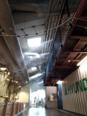 ORO DRĖKINIMAS VILNIAUS ZOO PARKE