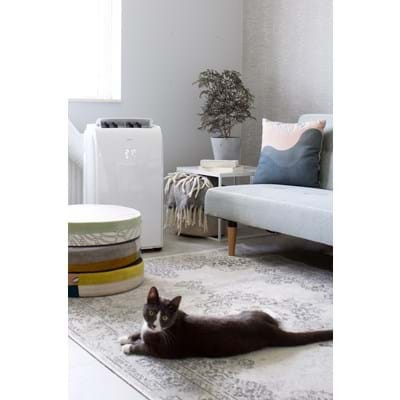 Oro kondicionierius Qlima P 534 