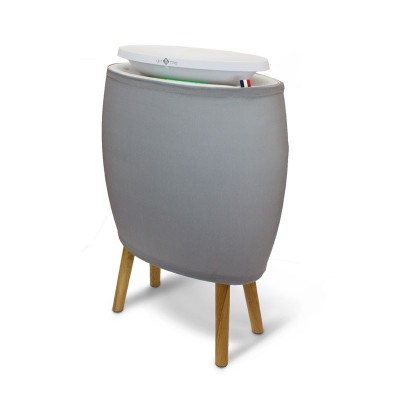 Oro valytuvas-jonizatorius Lendou