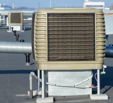 PLASTIKO GAMYKLOS CECHO VĖSINIMAS