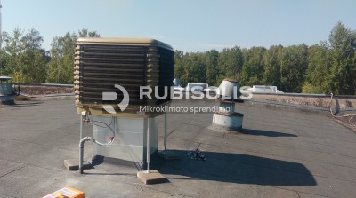 PLASTIKO GAMYKLOS CECHO VĖSINIMAS