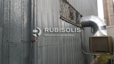 PLASTIKO GAMYKLOS CECHO VĖSINIMAS