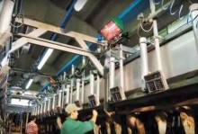 Pramoniniai infraraudonųjų spindulių šildytuvai VARMA TEC 