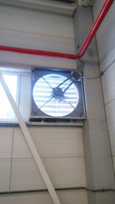 SPAUSTUVĖS VĖSINIMAS