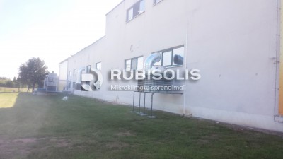 SULČIŲ GAMYBOS CECHO VĖSINIMAS 