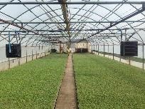 Vandeniniai kaloriferiai