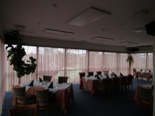 VIEŠBUČIO ŠILDYMAS PANEVĖŽYJE